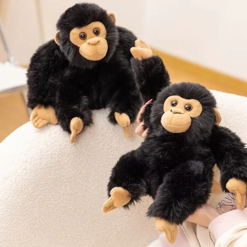 Two black chimpanzee plush dolls displayed together with realistic fur and soft tan face details