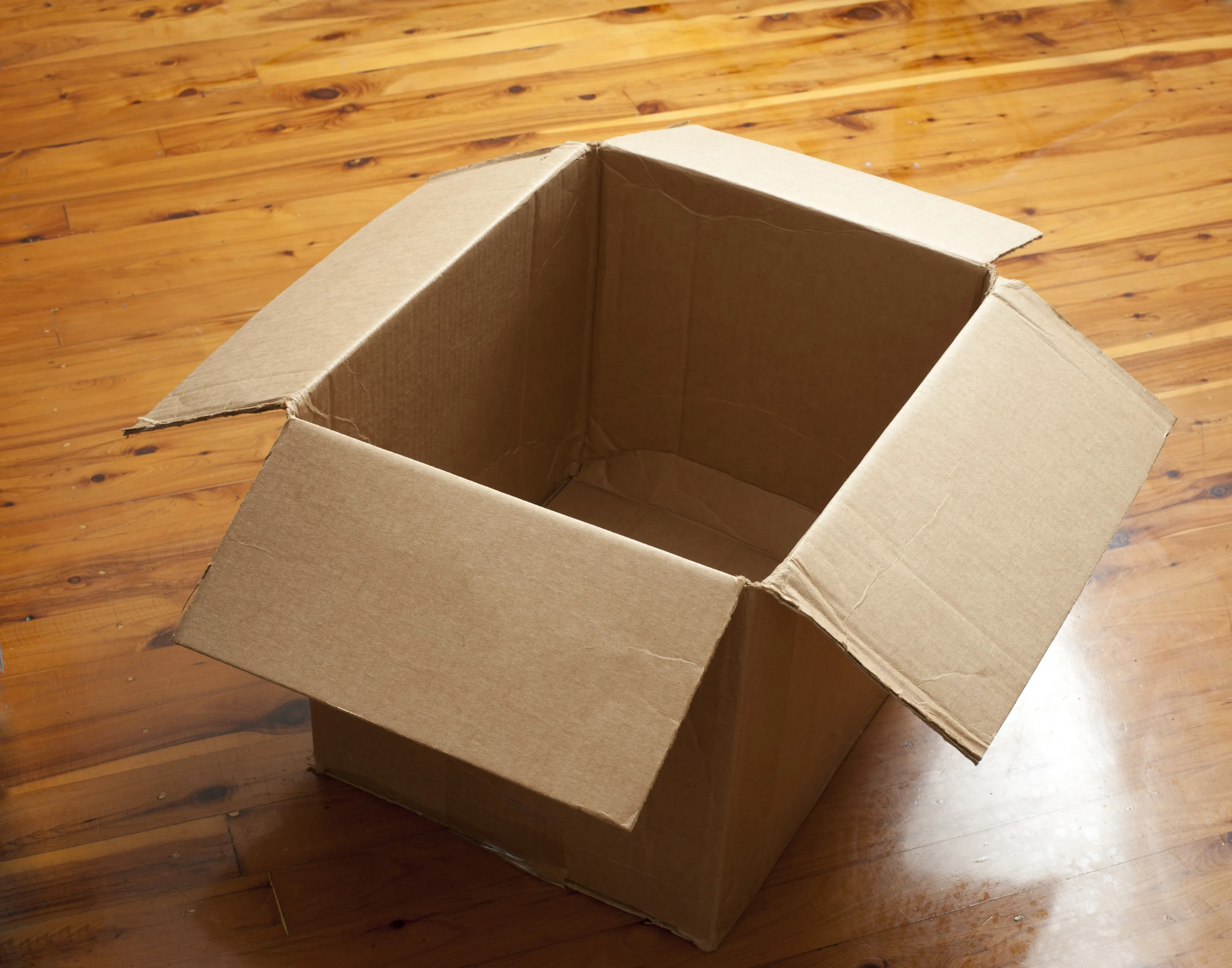 Open corrugated export carton prepared for final plush packaging