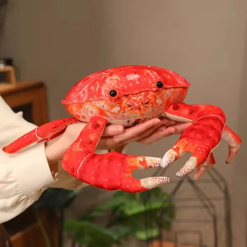 Handheld plush crab toy showing rounded PP cotton body, realistic red shell print, and oversized claws