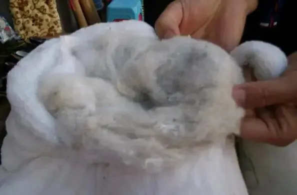 Hand-held sample of low-grade plush filling with visible clumping and inconsistent structure